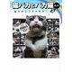 猫バカとバカ猫R.I.P.―ありがとうスケキヨ!(アース・スターブックス) [単行本]