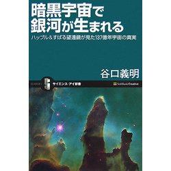 暗黒宇宙で銀河が生まれる―ハッブル&すばる望遠鏡が見た137億年宇宙の真実(サイエンス・アイ新書) [新書]