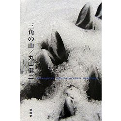 三角の山 [単行本]