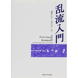 乱流入門 [単行本]