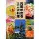 元気が出るえごま料理―油も実も葉もおいしい [単行本]