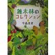 雑木林のコレクション(ふしぎコレクション〈2〉) [絵本]