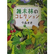 雑木林のコレクション(ふしぎコレクション〈2〉) [絵本]
