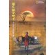 ぼくはマサイ―ライオンの大地で育つ [単行本]