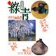 古美術緑青 NO.6 [全集叢書]