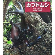 カブトムシ―ドキドキ!生きもの発見〈1〉 [全集叢書]