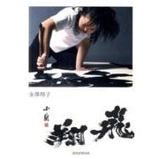 飛翔 [単行本]