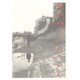 僕は走って灰になる―TEN YEARS AFTER 〔増補新版〕 [単行本]