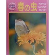 春の虫―テントウムシ・モンシロチョウ・クロオオアリ(なるほどウォッチング) [図鑑]