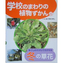 学校のまわりの植物ずかん〈4〉冬ごしのすがたでさがせる冬の草花 [単行本]