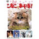 こねことあそぼ![DVD]