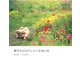 紫竹おばあちゃんの幸福の庭 [単行本]