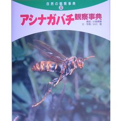 ヨドバシ.com - アシナガバチ観察事典(自然の観察事典〈32〉) [事典