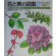 花と実の図鑑〈8〉身近な樹木の観察(2) [図鑑]