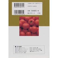 ヨドバシ Com 美味しんぼ ７ 大地の赤 ビッグ コミックス コミック 通販 全品無料配達