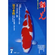 鱗光 2007年7月号 [単行本]