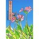 戦時下にくらした女性たち－もうひとつの北区史2 [単行本]