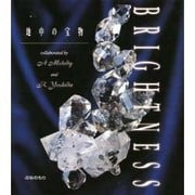 BRIGHTNESS―地中の宝物 [単行本]