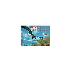コアホウドリはかぜとともだち(親と子の写真絵本〈9〉) [絵本]