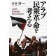 アラブ民衆革命を考える [単行本]