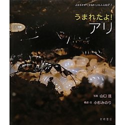 うまれたよ!アリ(よみきかせいきものしゃしんえほん〈3〉) [絵本]