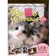 うちの猫のキモチがわかるカレンダー 2013 [カレンダー]
