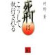 死刑はこうして執行される(講談社文庫) [文庫]