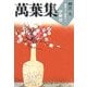 萬葉集釋注〈9〉巻第十七・巻第十八(集英社文庫ヘリテージシリーズ) [文庫]