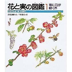 ヨドバシ Com 春に花が咲く木 花と実の図鑑 1 図鑑 通販 全品無料配達