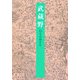 武蔵野 改版 (岩波文庫) [文庫]