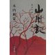 山風記―福井の道なき山を「踏む」 [単行本]