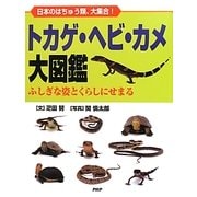 トカゲ・ヘビ・カメ大図鑑―日本のはちゅう類、大集合!ふしぎな姿とくらしにせまる [図鑑]
