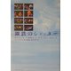 鋼鉄のシャッター―北アイルランド紛争とエンカウンター・グループ [単行本]