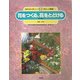 花をつくる、花をとどける―花の流通(自然の中の人間シリーズ―花と人間編〈4〉) [絵本]