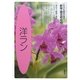 洋ラン(NHK趣味の園芸 新版・園芸相談〈2〉) [全集叢書]