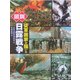 図説 従軍画家が描いた日露戦争(ふくろうの本) [全集叢書]