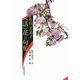 松村芙美子(活)花と句集 [単行本]