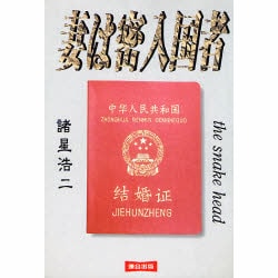 妻は密入国者 [単行本]
