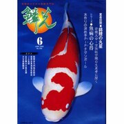 鱗光 2000年6月号 [単行本]
