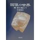 図像の世界―時・空を超えて [単行本]
