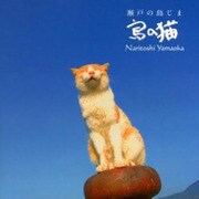 瀬戸の島じま 島の猫 [単行本]