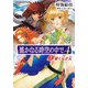 遙かなる時空の中で4〈1〉果てなき天(GAMECITY文庫) [文庫]