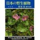 日本の野性植物 草本〈2〉離弁花類 新装版 [図鑑]