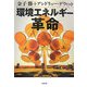 環境エネルギー革命 [単行本]