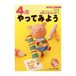 4歳やってみよう（新・知力開発シリーズ） [単行本]