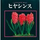 ヒヤシンス(しょくぶつ・すくすくずかん〈6〉) [絵本]