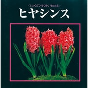 ヒヤシンス(しょくぶつ・すくすくずかん〈6〉) [絵本]