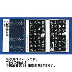 張瑞図集(中国法書選〈52〉) [全集叢書]