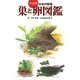 決定版 日本の野鳥 巣と卵図鑑 [図鑑]