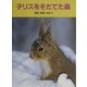 子リスをそだてた森(あかね・新えほんシリーズ〈7〉) [全集叢書]